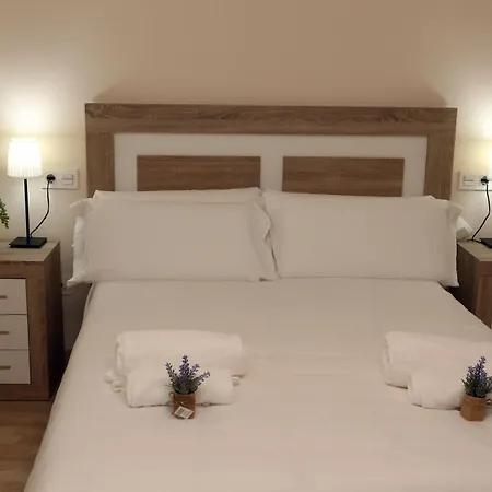 Turisticos Puente P3 1-b *